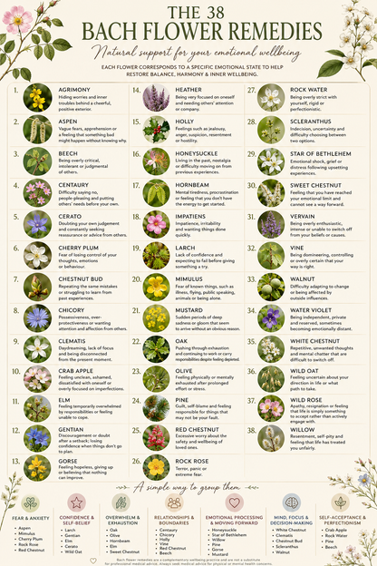 Personalised Bach Flower Remedy